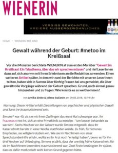 Bericht Gewalt Wienerin1